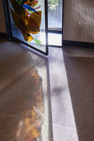 Die Frau mit der Gitarre