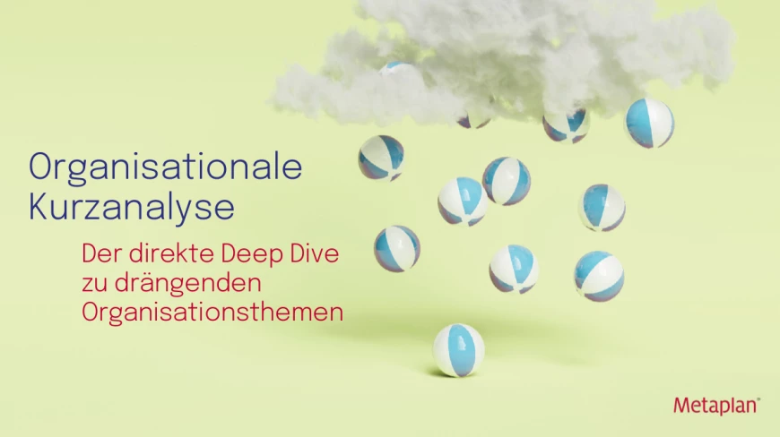 Organisationale Kurzanalyse